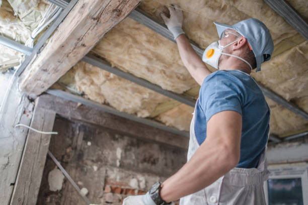 Best Insulation Maintenance and Repair in Delavan, WI
