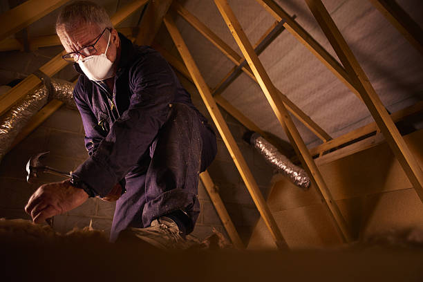 Best Cellulose Insulation in Delavan, WI